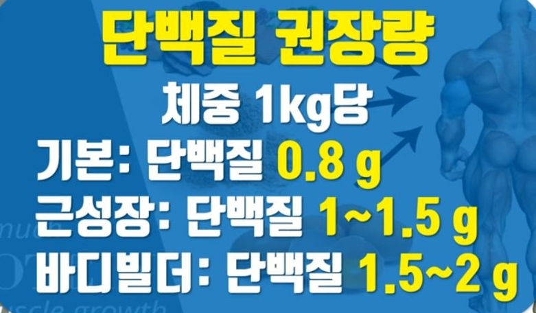 헬스 시리즈 11탄 하루 단백질 섭취량은? 프로틴 쉐이크에 대해 알아보자 | 인스티즈