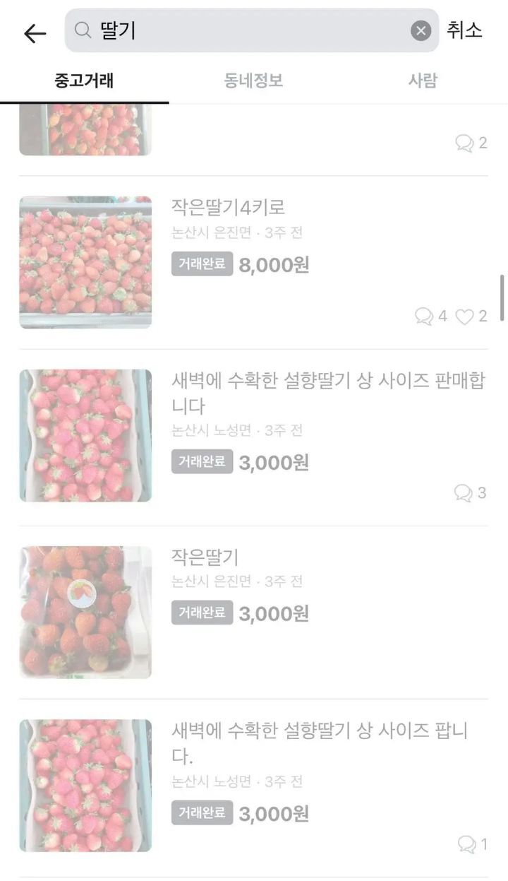 타지 사람들이 부러워 하는 특정 시기의 논산 당근마켓🥕 | 인스티즈