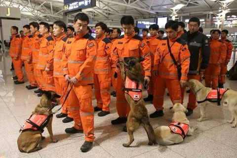 멕시코에서 튀르키예로 출동하는 구조견들 | 인스티즈