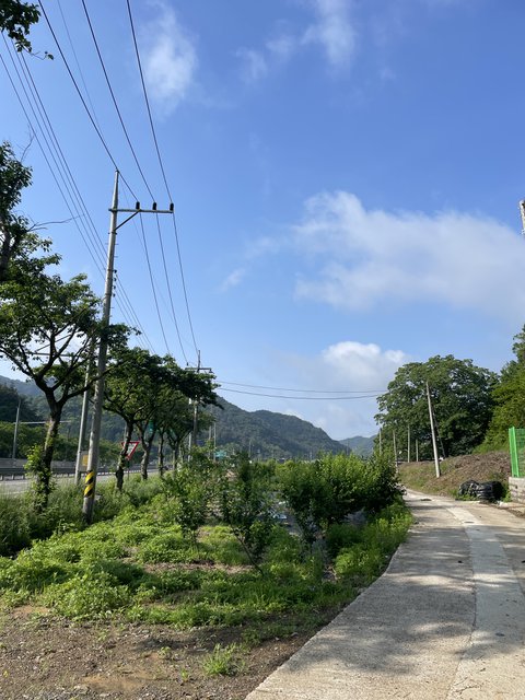 일본 시골 감성이 있다면 한국 시골 감성도 있다 | 인스티즈
