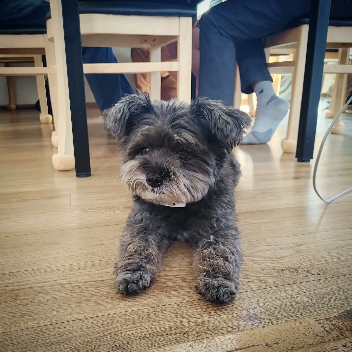 오늘자 문토리 | 인스티즈