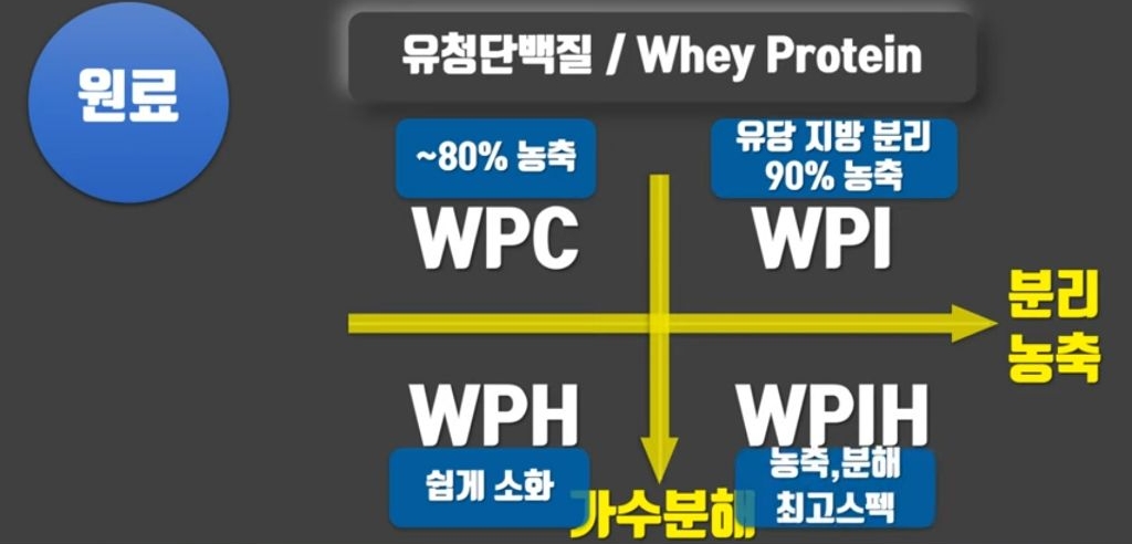 헬스 시리즈 11탄 하루 단백질 섭취량은? 프로틴 쉐이크에 대해 알아보자 | 인스티즈