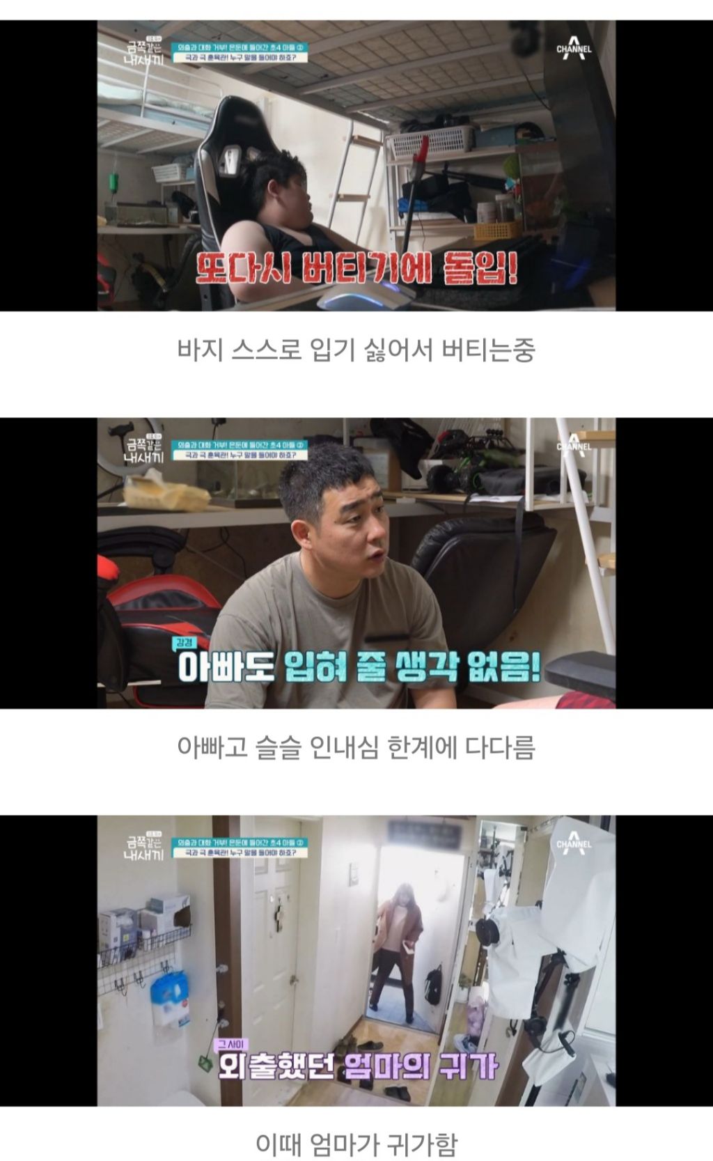 대한민국 가정집에서 아들들이 자라나는 과정 | 인스티즈