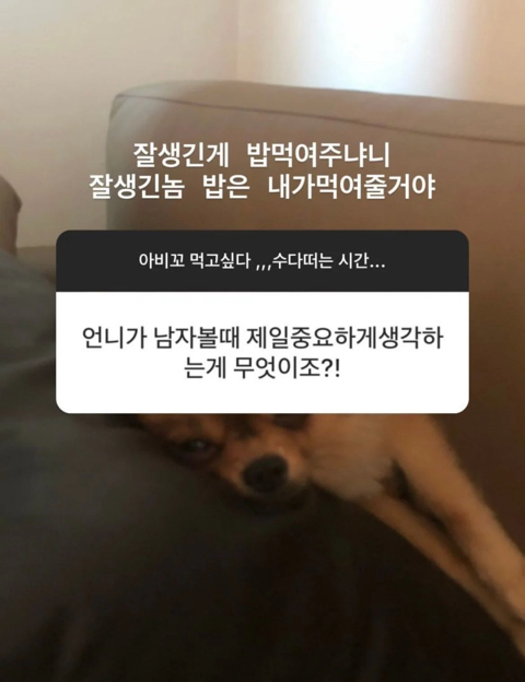 한아름송이 이성애 얘기만 하는 무물 | 인스티즈