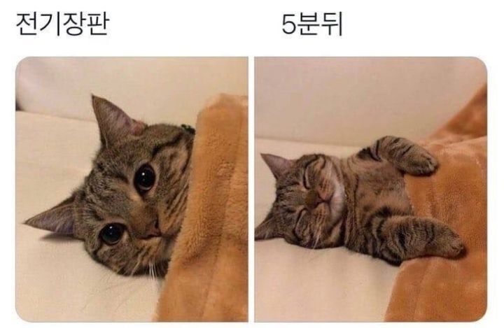 겨울에 차가워진 집 공기를 즐기는 일부 사람들 | 인스티즈