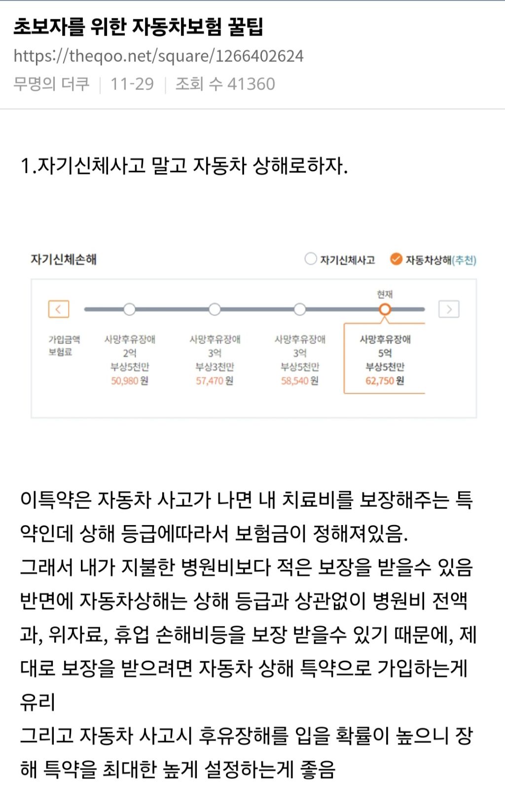초보자를 위한 자동차 보험 꿀팁 | 인스티즈