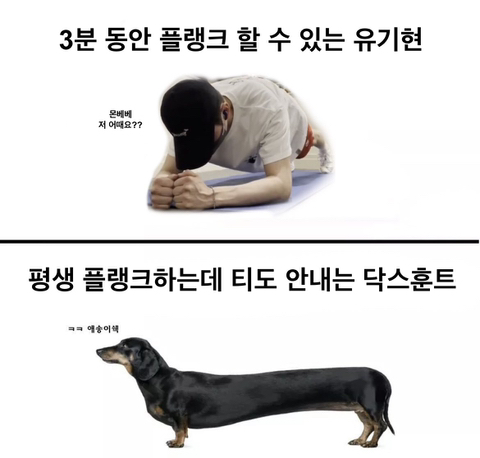 요즘구글네.twt | 인스티즈