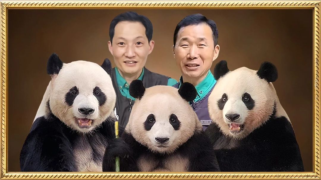 바오패밀리 가족사진 - [이슈] 목욕탕 정보통 - 우리 동네 목욕탕