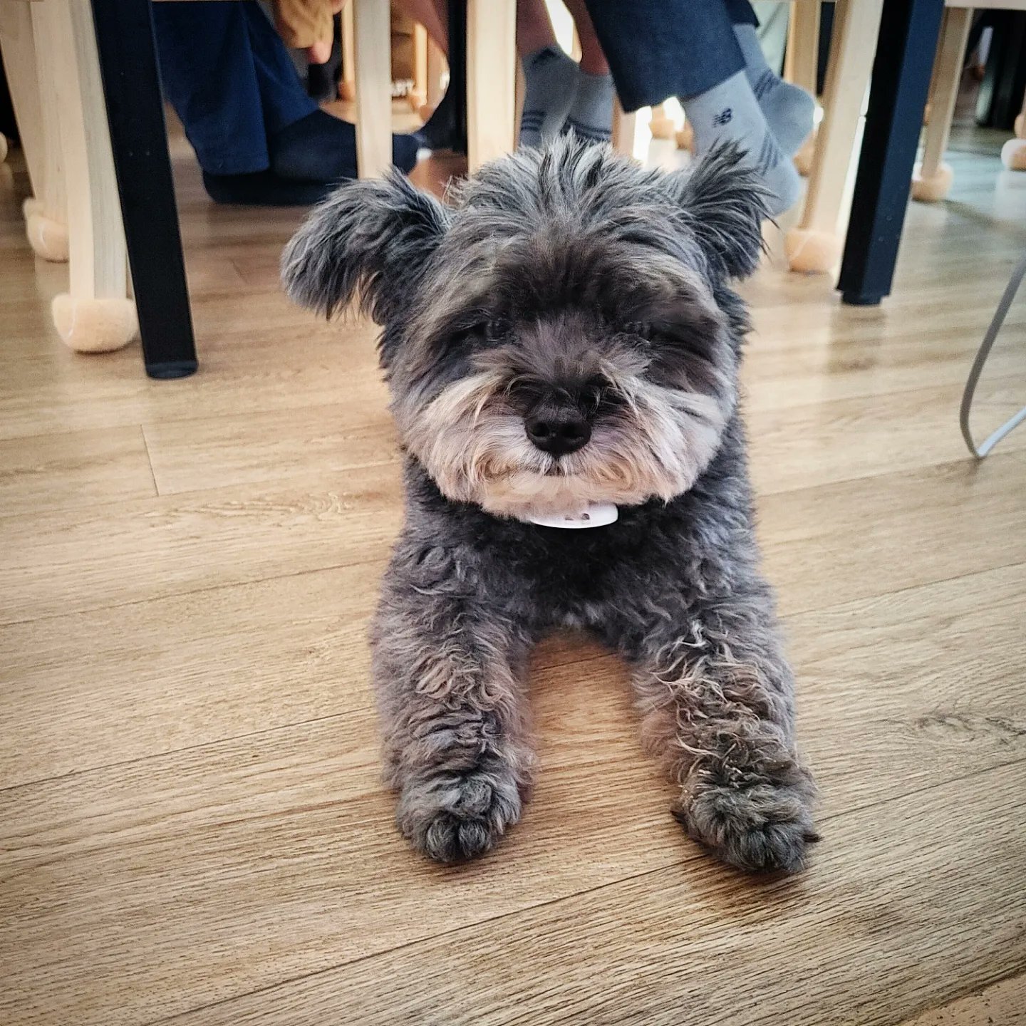 오늘자 문토리 | 인스티즈