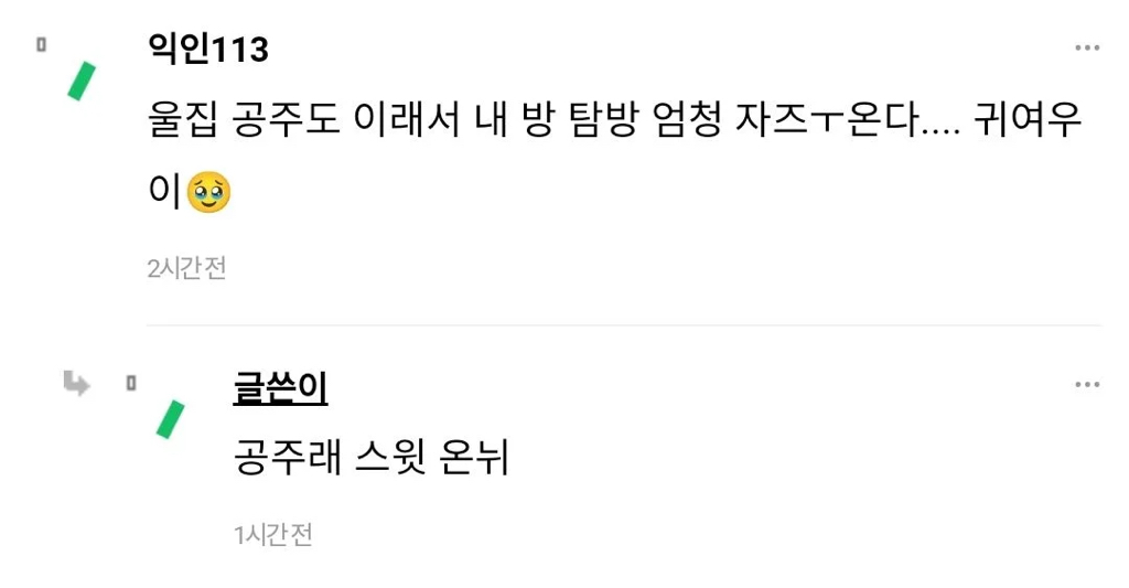 언니방 들어가는 거 개재밌음ㅋㅋ | 인스티즈