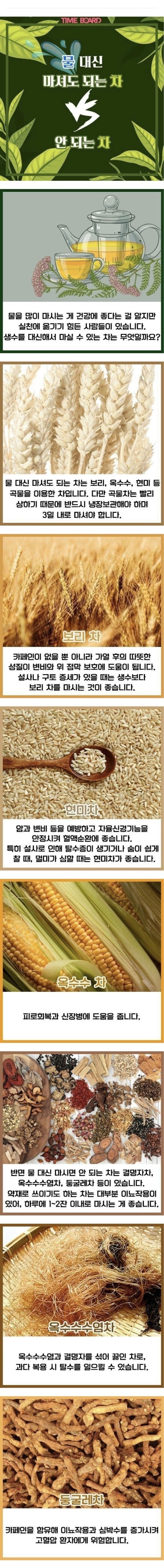 물 대신 마셔도 되는 차 VS 안 되는 차 | 인스티즈