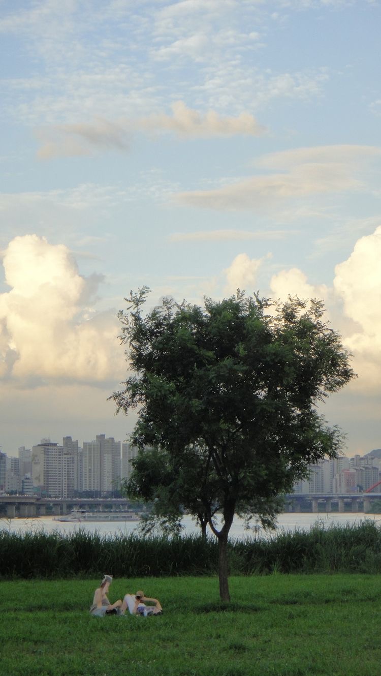 한국 그리고 여름 | 인스티즈