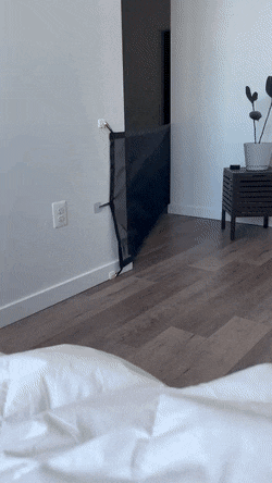 문을 막았지만 너무 얇았던 강아지.gif | 인스티즈