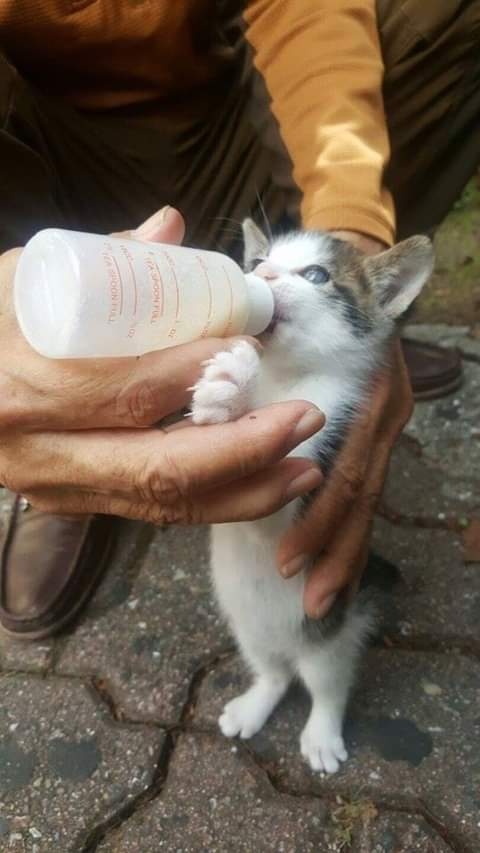 길거리에서 할아버지가 애기 우유맥이는거 봄,,,twt | 인스티즈
