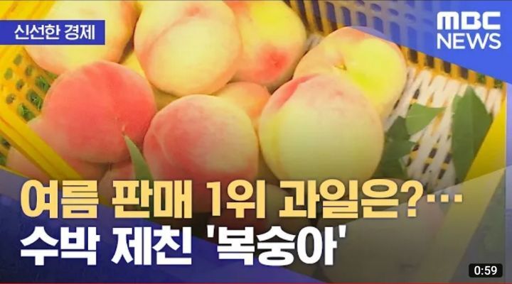 여름 과일 부동의 1위 수박을 제치다 | 인스티즈