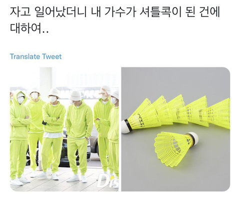요즘구글네.twt | 인스티즈
