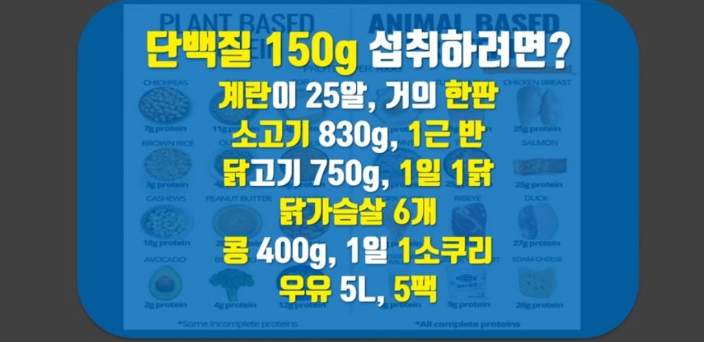 헬스 시리즈 11탄 하루 단백질 섭취량은? 프로틴 쉐이크에 대해 알아보자 | 인스티즈