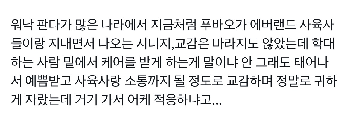아이바오 학대한 사육사가 있는곳으로 갈 확률이 있는 푸바오.twt | 인스티즈