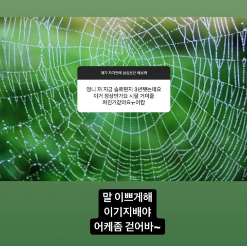 한아름송이 이성애 얘기만 하는 무물 | 인스티즈