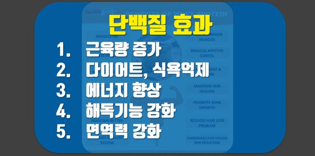 헬스 시리즈 11탄 하루 단백질 섭취량은? 프로틴 쉐이크에 대해 알아보자 | 인스티즈