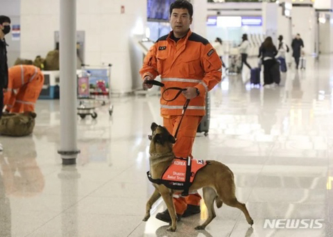 멕시코에서 튀르키예로 출동하는 구조견들 | 인스티즈