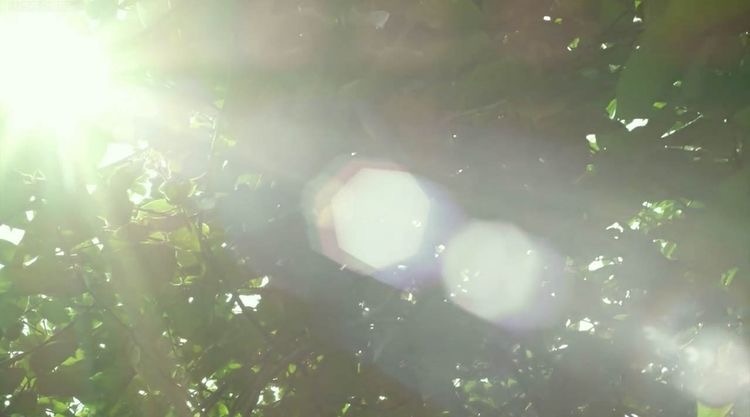 한여름 방정식 | 인스티즈