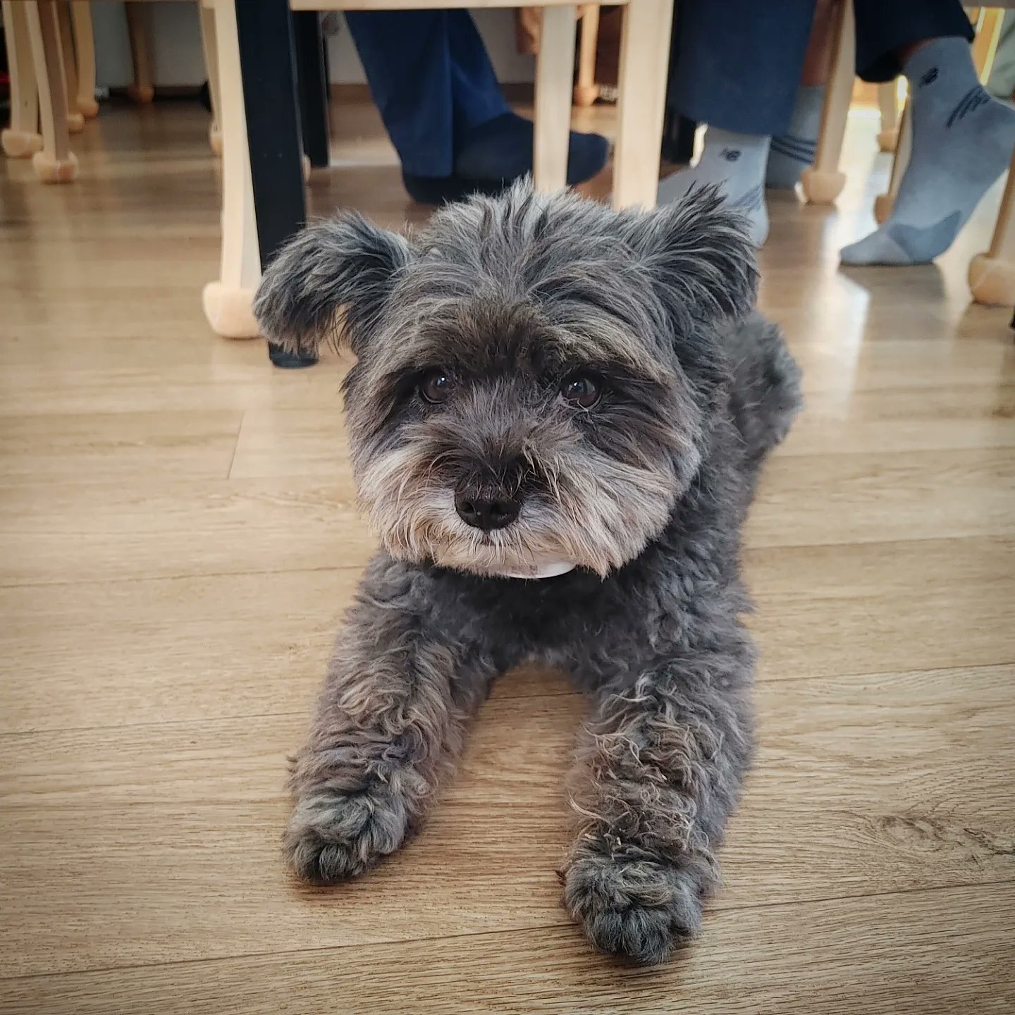 오늘자 문토리 | 인스티즈