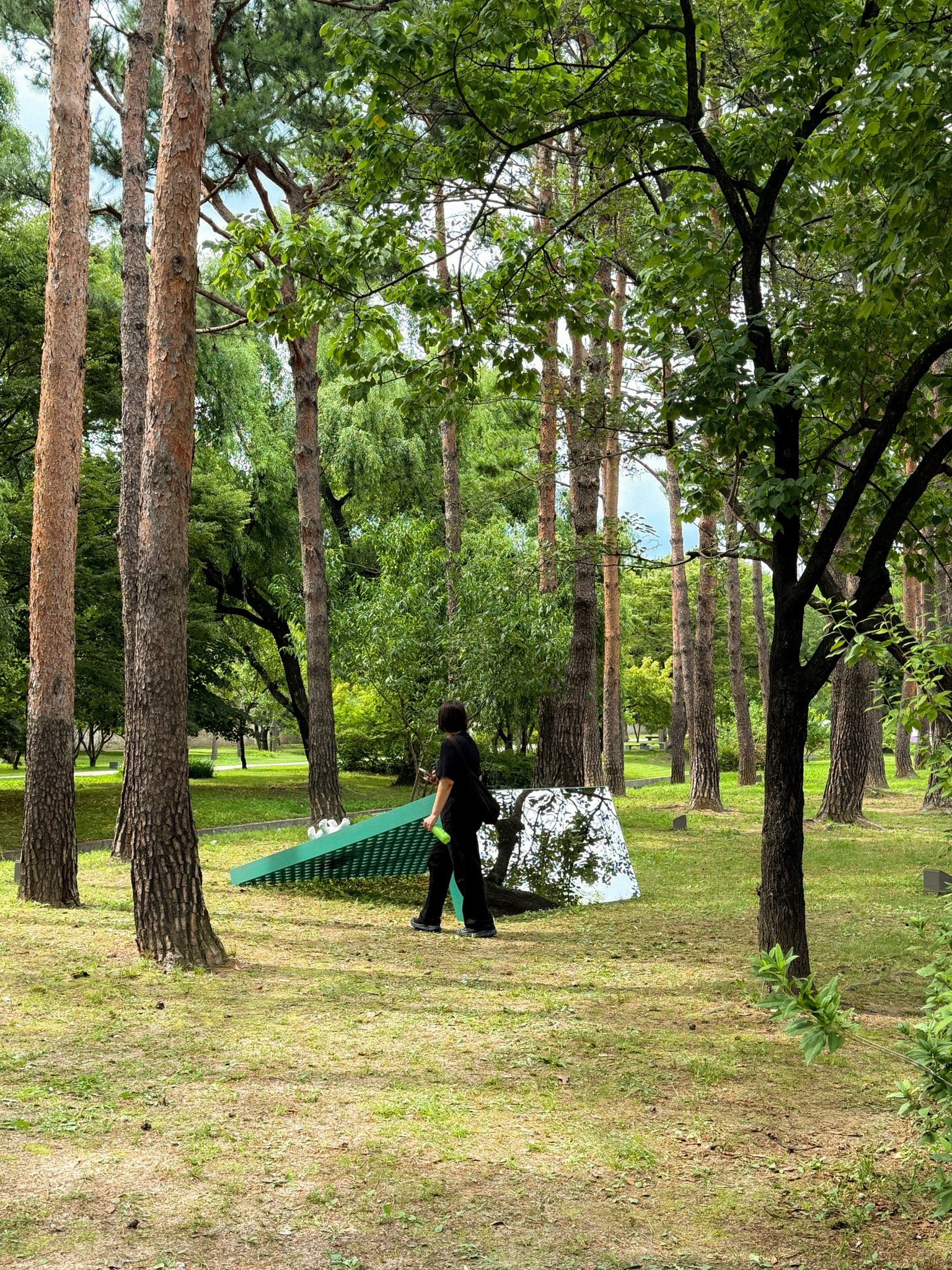 오늘 오픈한 전시 경복궁 생각>에서 만난 복랑이(경복궁 호랑이)들.twt | 인스티즈