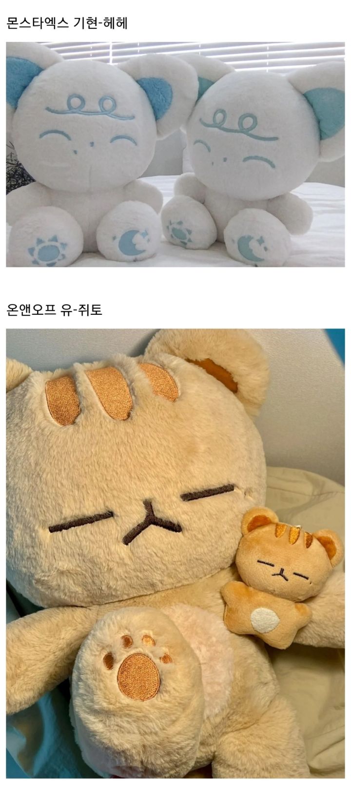 요즘 아이돌 팬들 사이에 인기인 듯한 동물 40cm 인형 | 인스티즈