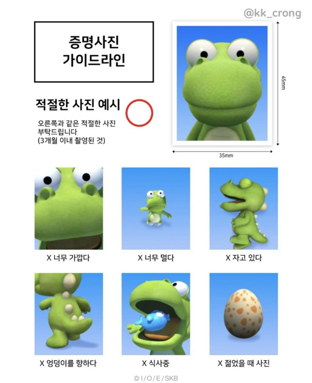 크롱이가 알려주는 증명서진 가이드라인! | 인스티즈