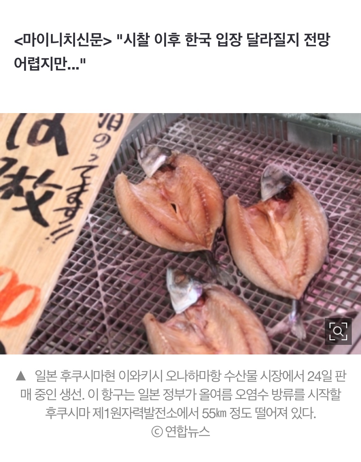 일본이 시찰단 받은 이유? "수산물 수입금지 해제 작업" | 인스티즈
