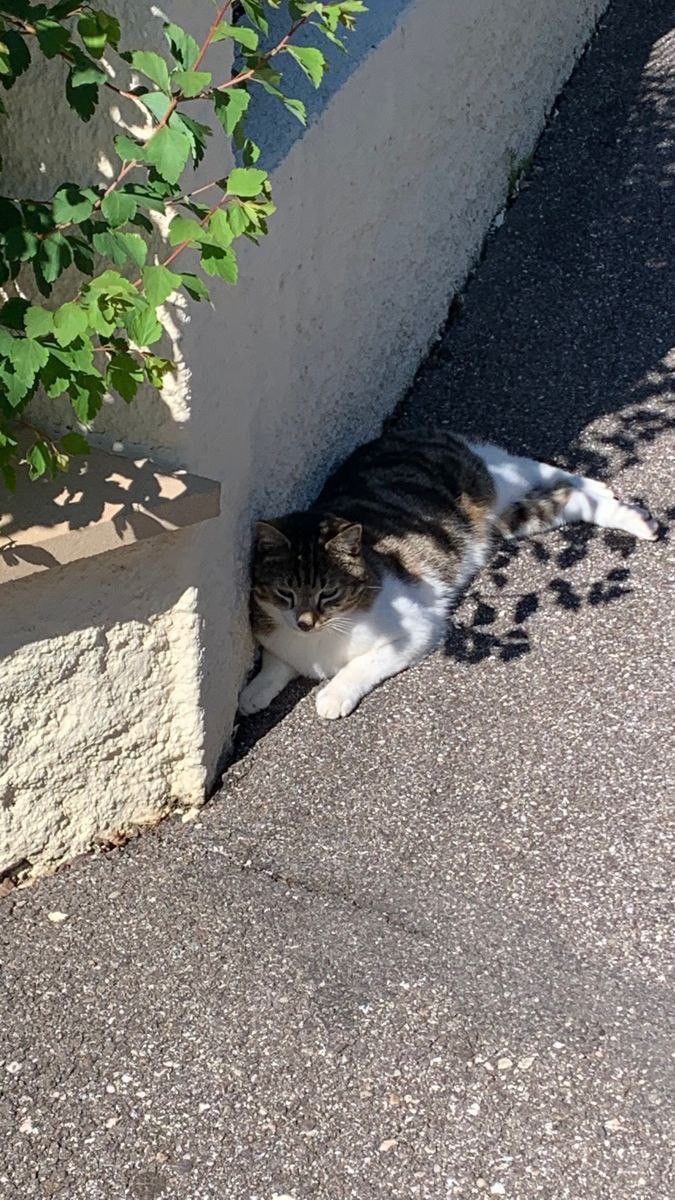 한국 그리고 여름 | 인스티즈