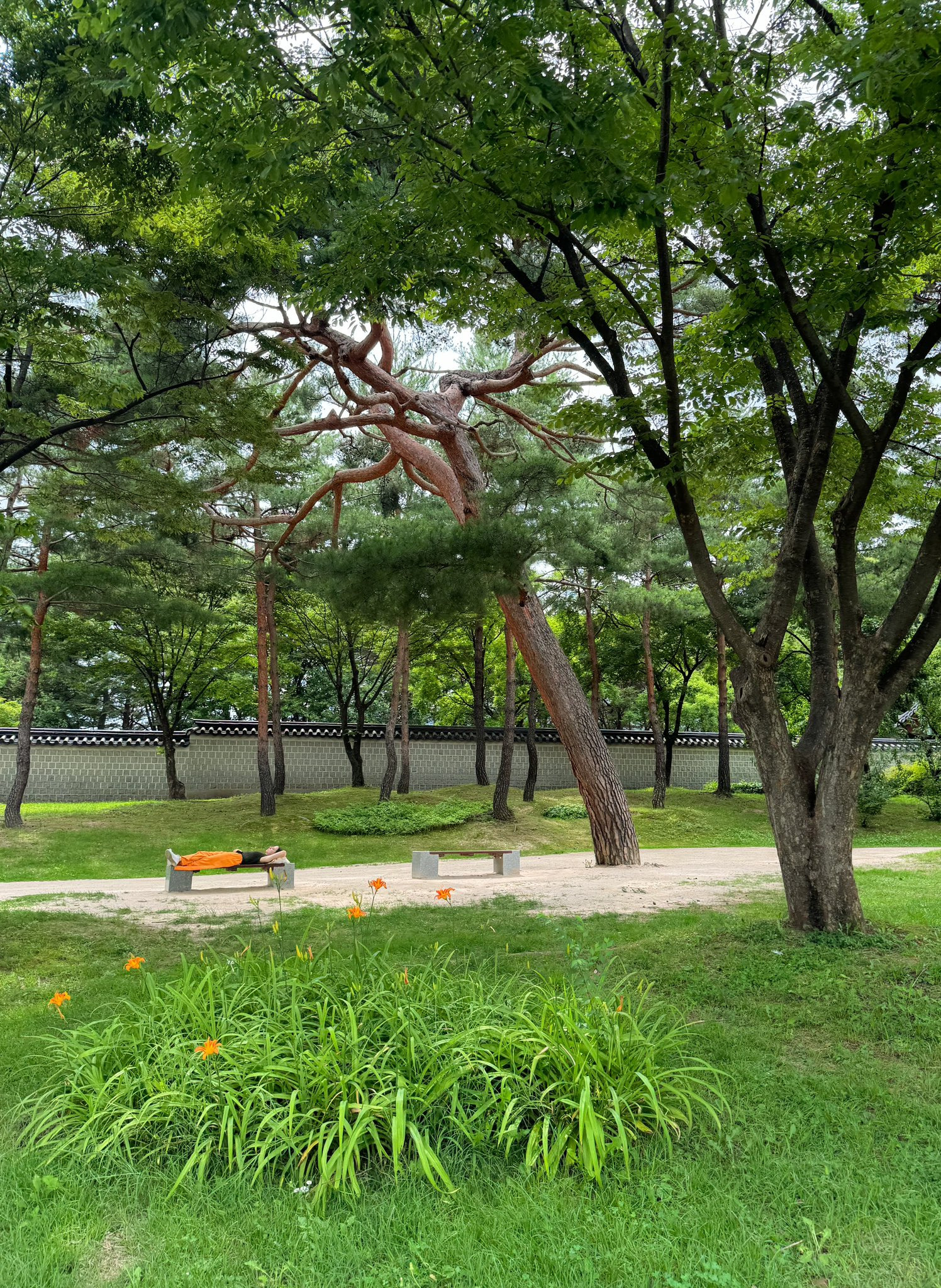 오늘 오픈한 전시 경복궁 생각>에서 만난 복랑이(경복궁 호랑이)들.twt | 인스티즈