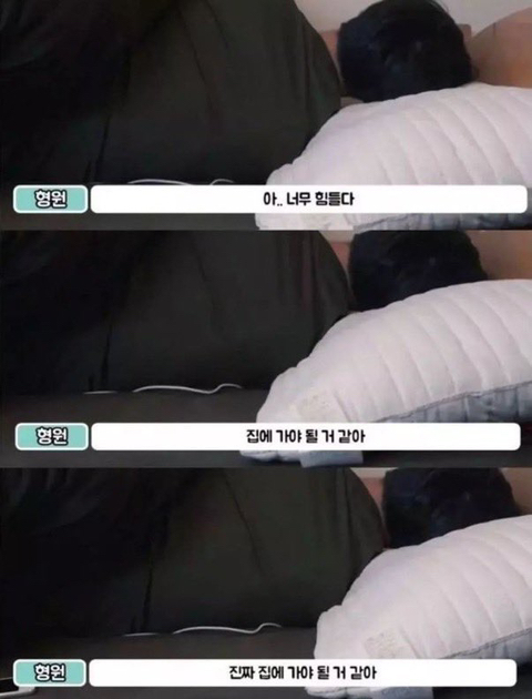 요즘구글네.twt | 인스티즈