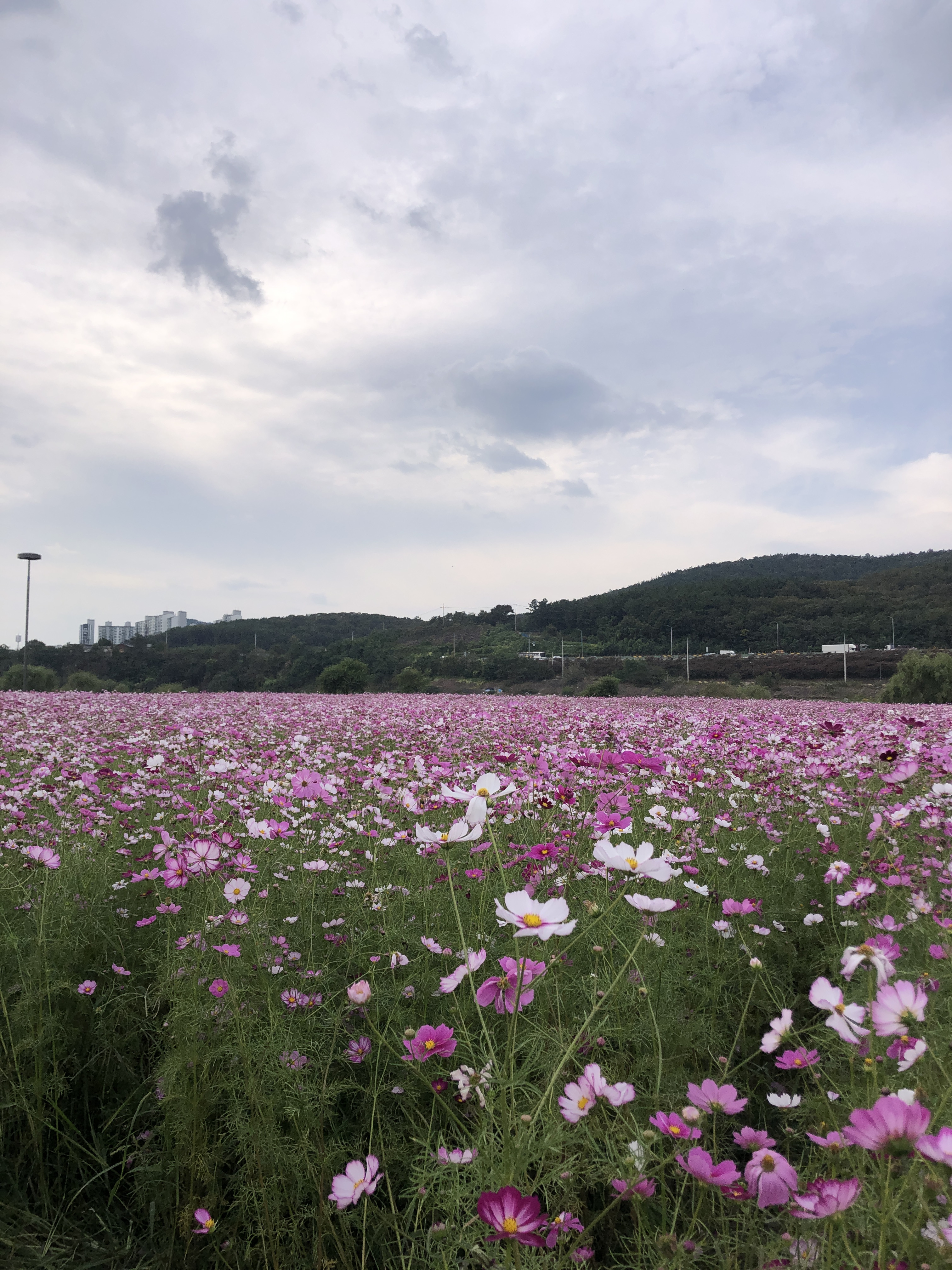 국내에도 멋있는 곳이 많아! 많관부..! 2탄 | 인스티즈