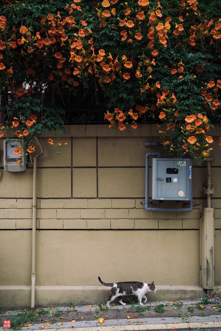 한국 그리고 여름 | 인스티즈