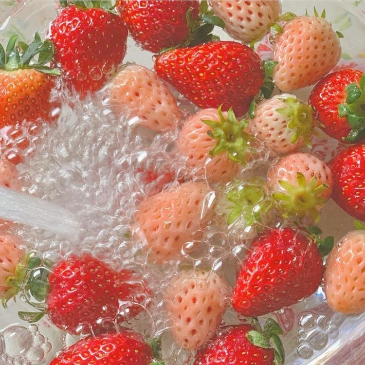 잘자, 나의 우는 사랑 | 인스티즈