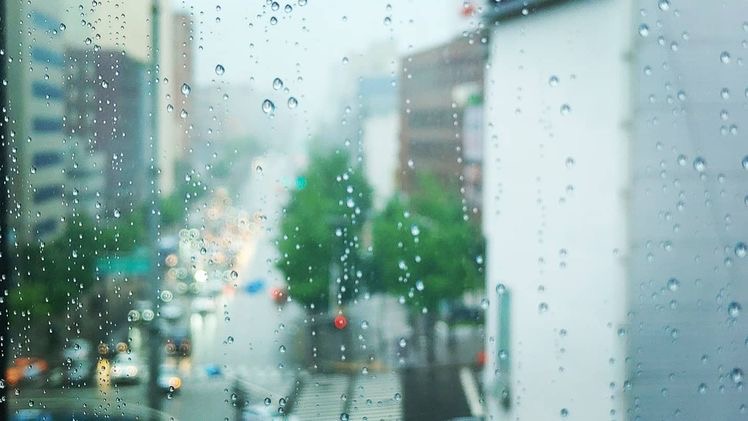 여름이었다 | 인스티즈