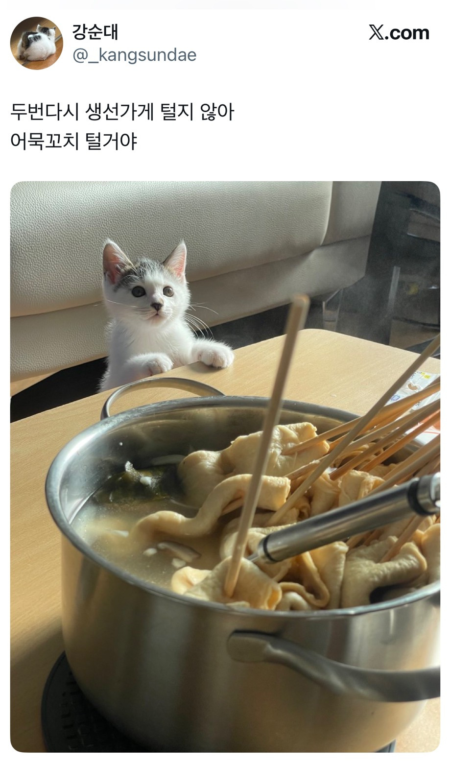 두번다시 생선가게 털지 않아 어묵꼬치 털거야.twt | 인스티즈