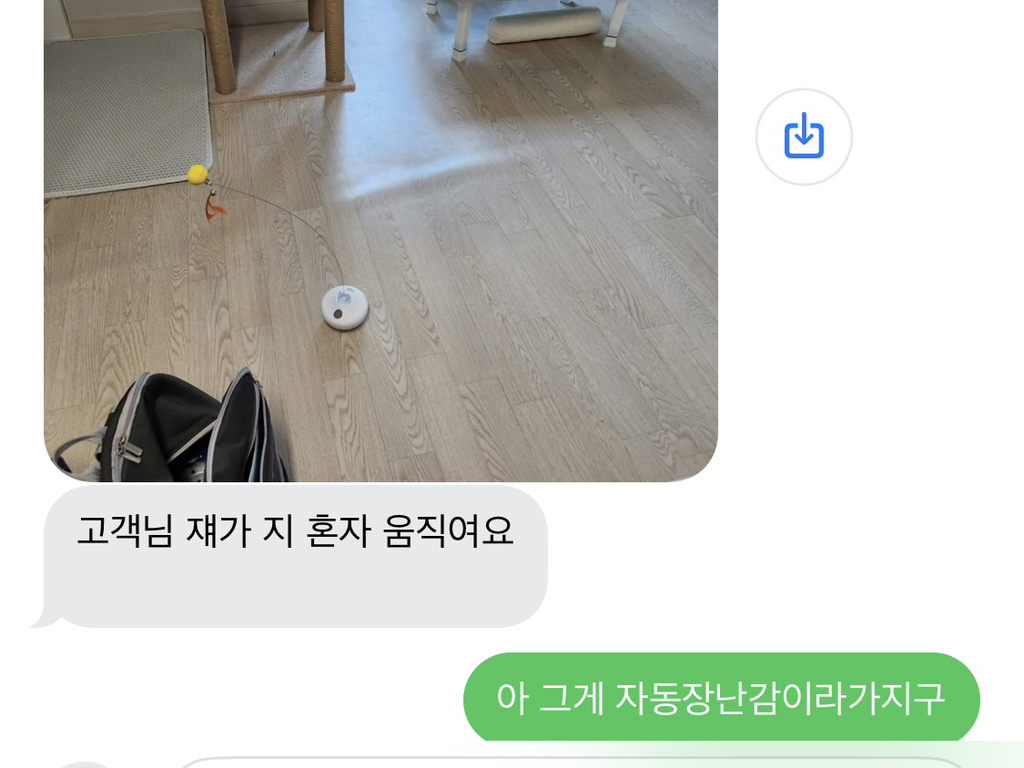 정수기 매니저님 오셧는데 울 고영 장난감이 정해진 시간대에 켜지거든 | 인스티즈