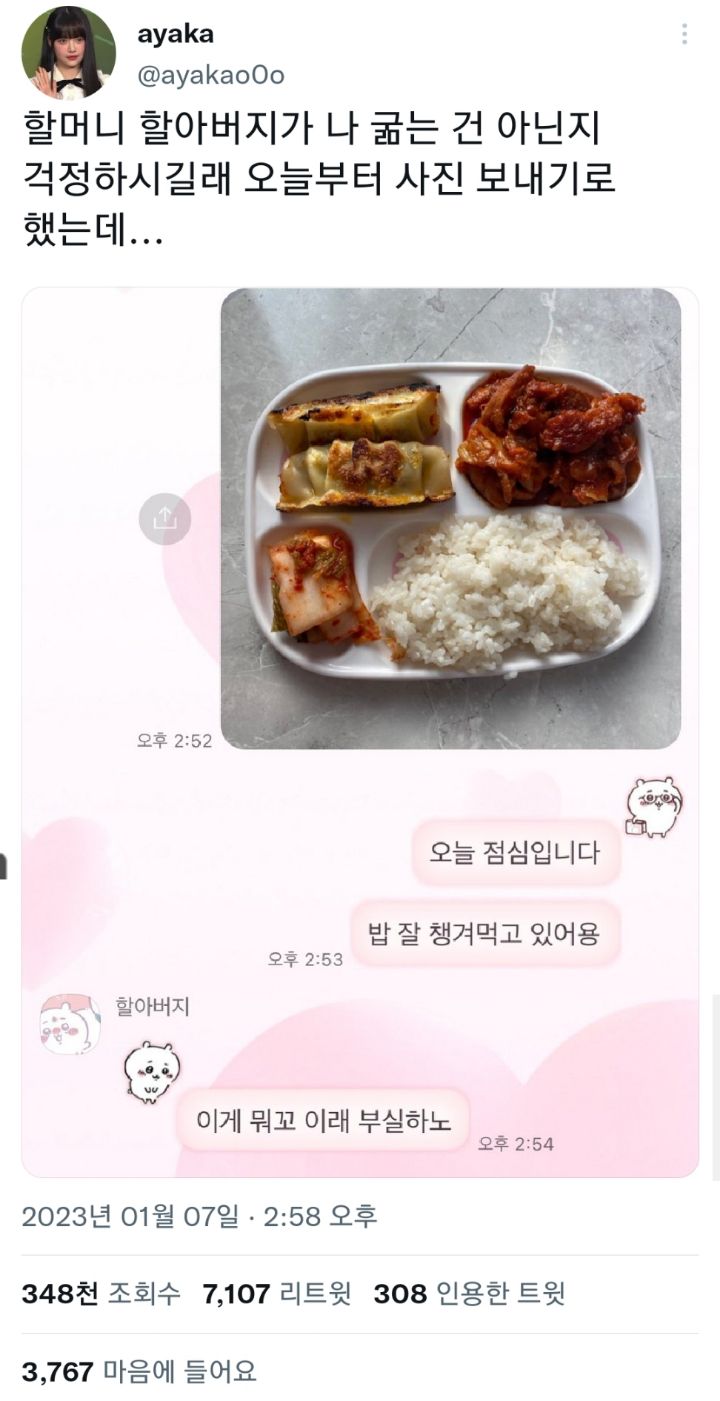 할머니 할아버지가 나 굶는 건 아닌지 걱정하시길래 오늘부터 사진 보내기로 했는데...twt | 인스티즈