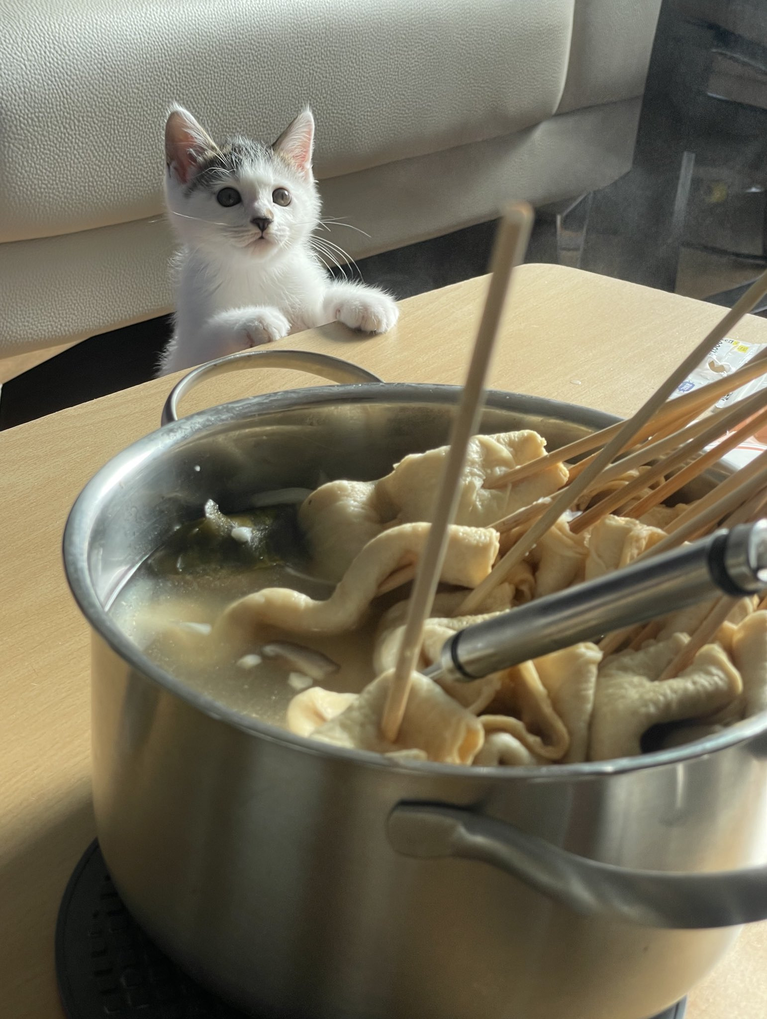 두번다시 생선가게 털지 않아 어묵꼬치 털거야.twt | 인스티즈