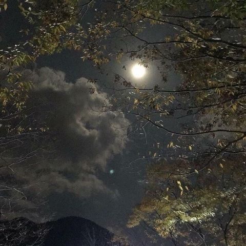 당신을 사랑한다는 말을 길게도 돌려썼네요.그래요. 난 당신을 사랑해요 | 인스티즈