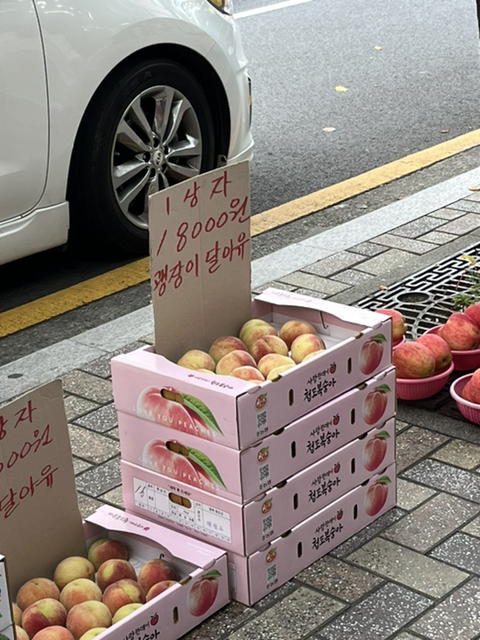 달아유 이미지