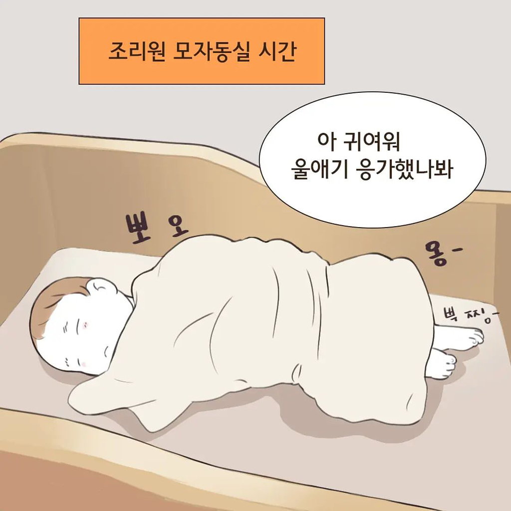 조리원 이혼 | 인스티즈