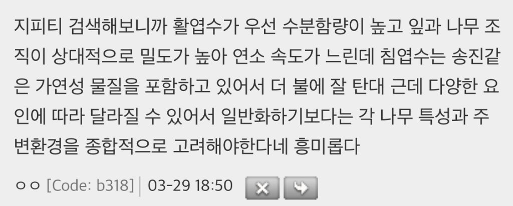 활엽수 이미지