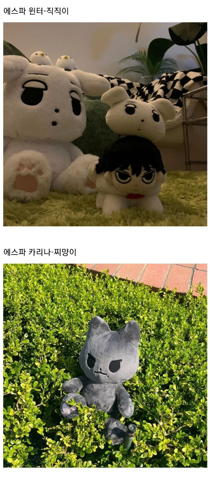 요즘 아이돌 팬들 사이에 인기인 듯한 동물 40cm 인형 | 인스티즈