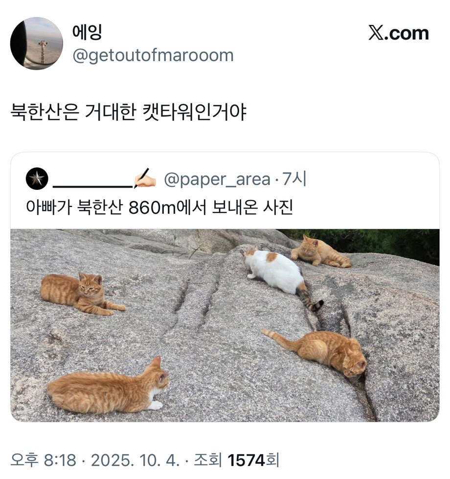 아빠가 북한산 860m에서 보내온 사진.twt | 인스티즈