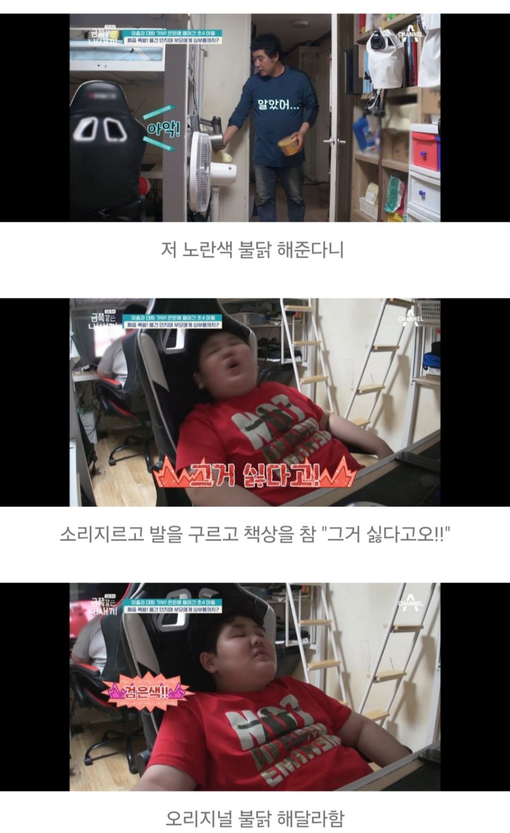 대한민국 가정집에서 아들들이 자라나는 과정 | 인스티즈