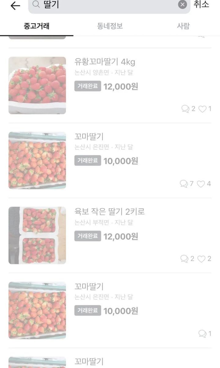 타지 사람들이 부러워 하는 특정 시기의 논산 당근마켓🥕 | 인스티즈